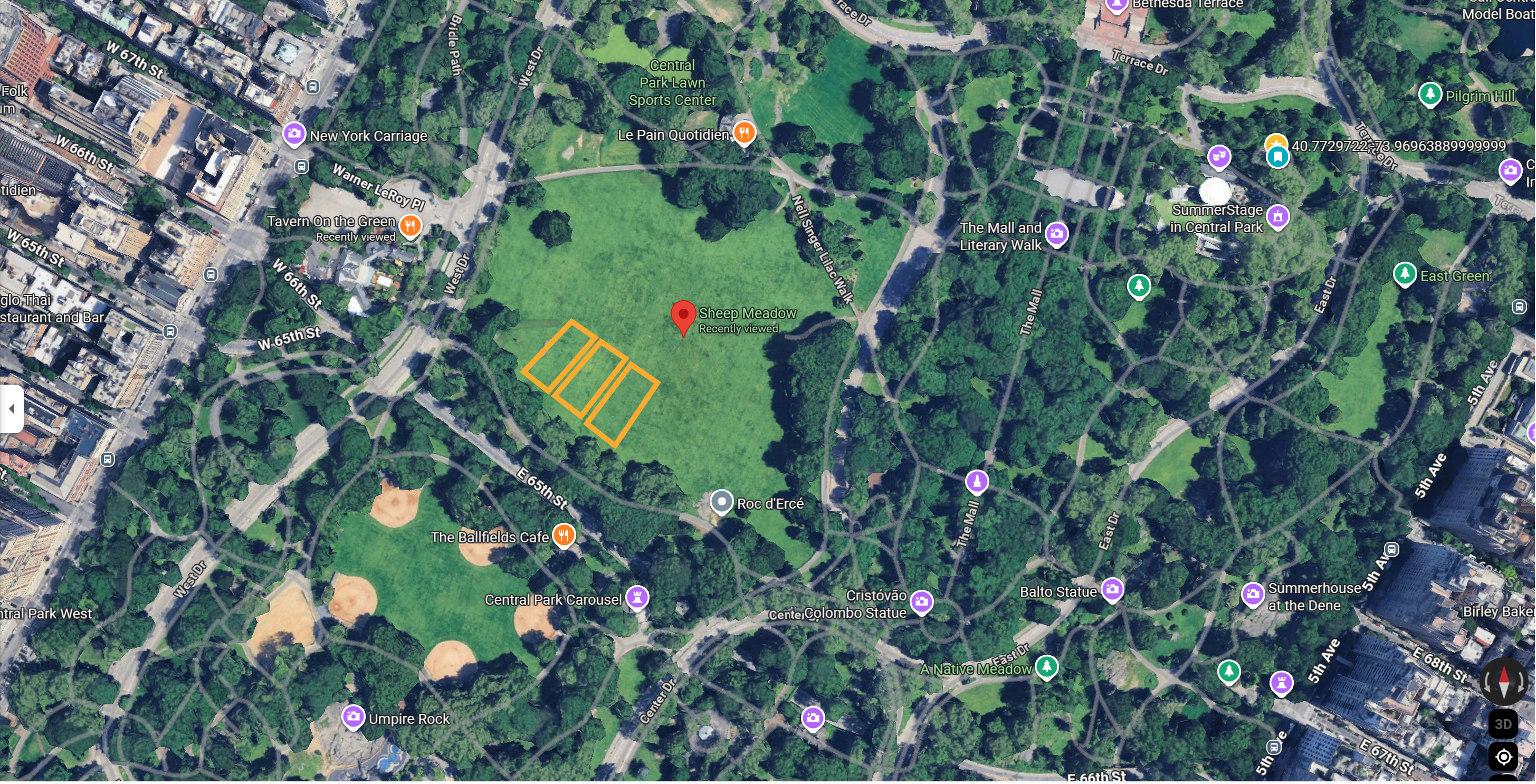 Sheep Meadow with outline of a possible paddock