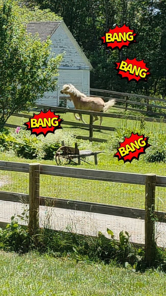 When the Horse Runs