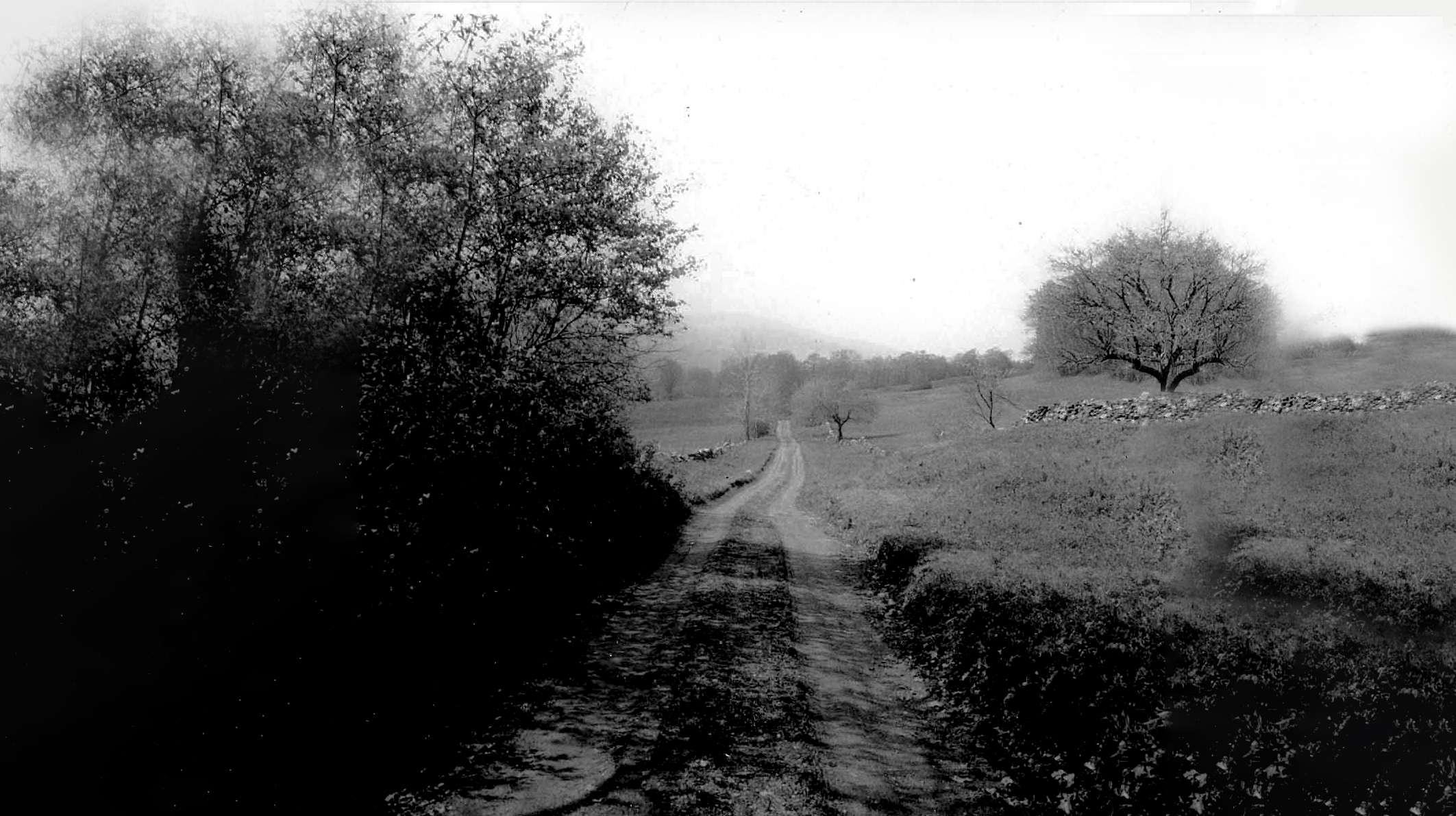 Scott Road series